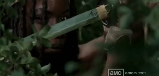 File:Michonne.S3.1.2.png