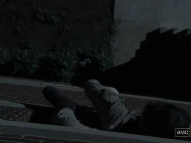 File:STLO TWD Images 030.jpeg
