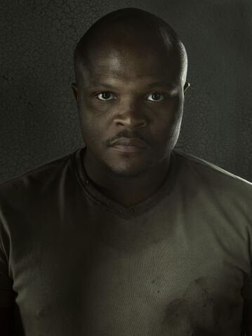 File:Tdogs3portrait.jpg