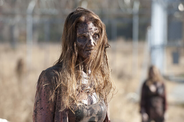 File:The-walking-dead 3x16 final.jpg