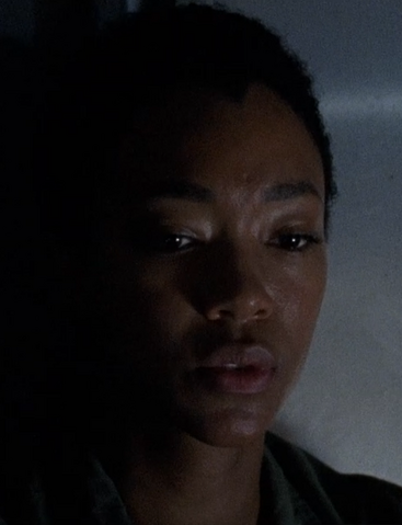 File:507 Sasha Truck.png