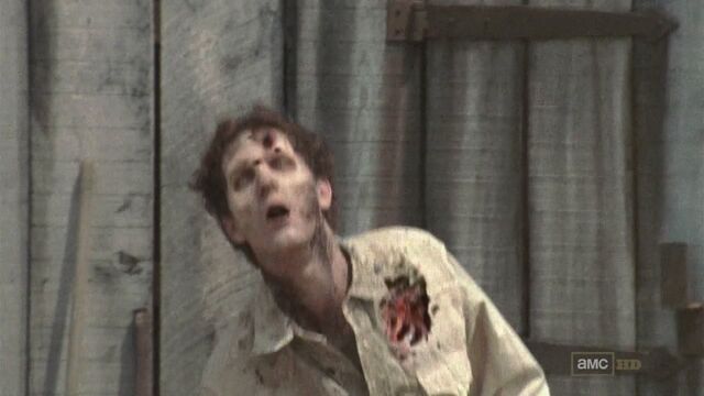 File:Twd207 4483.jpg