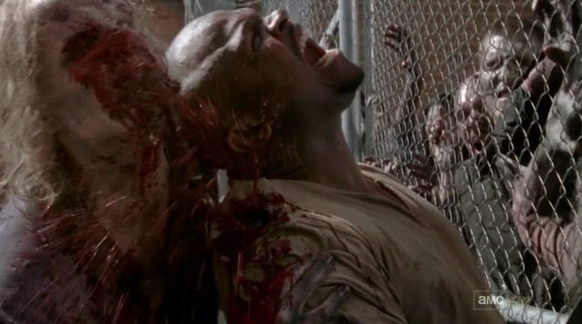 File:Bloody-t-dog.png