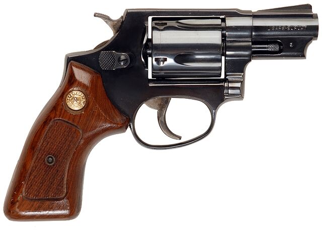 File:Taurus85.jpg