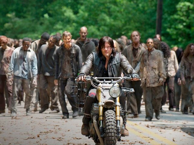File:Daryl and the Herd.jpeg