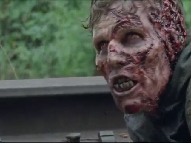 File:TWDBLR Images 024.jpeg