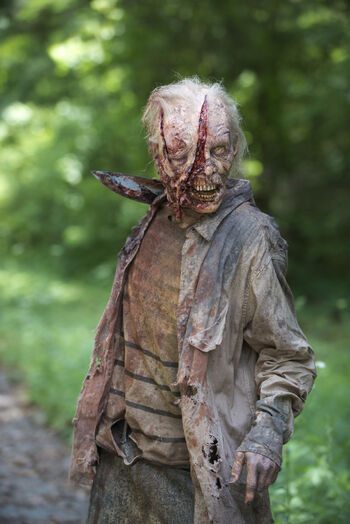 File:The-walking-dead-season-6-walkers-658px-1.jpg