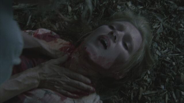 File:Twd104-002193.jpg