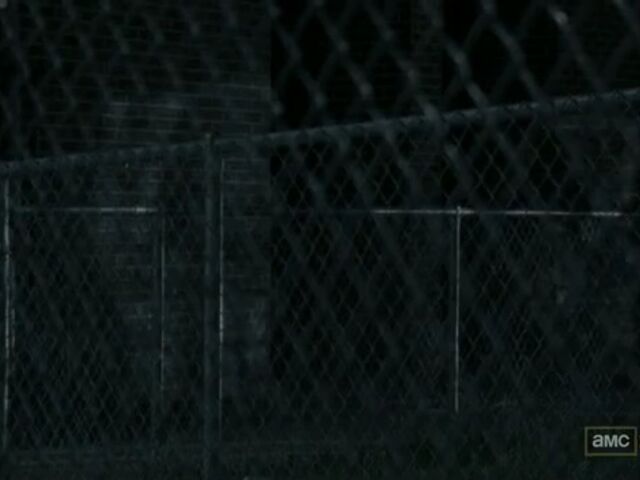 File:BL TWD Images 072.jpeg