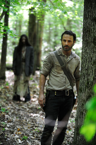 File:The-walking-dead-season-4-HD.jpg