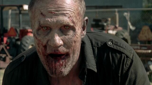 File:Twd315002950.jpg