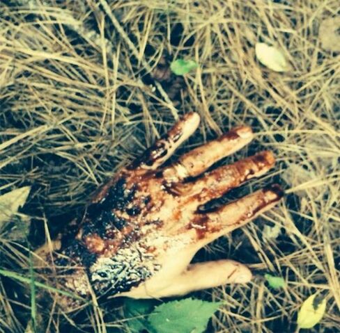 File:Daryl-dixon-loses-hand-106140.jpg
