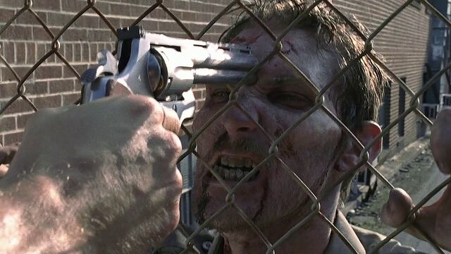 File:WalkingDead-ColtPyhonFence.jpg