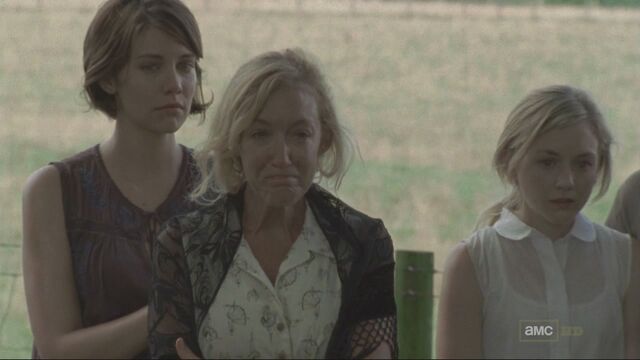 File:Twd204 0224.jpg