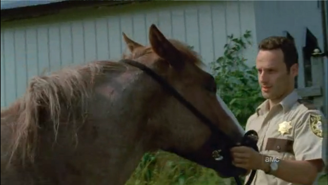 File:Horse and rick4.png