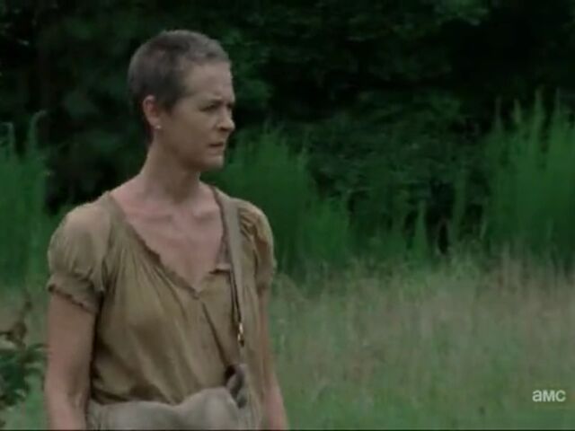 File:CRo TWD Images 097.jpeg