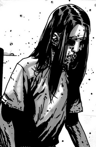File:RoamR7.png