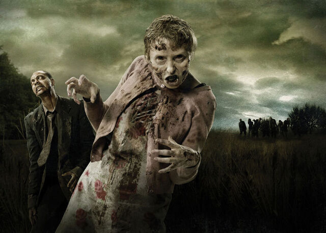 File:Sonya Poster 2.jpg