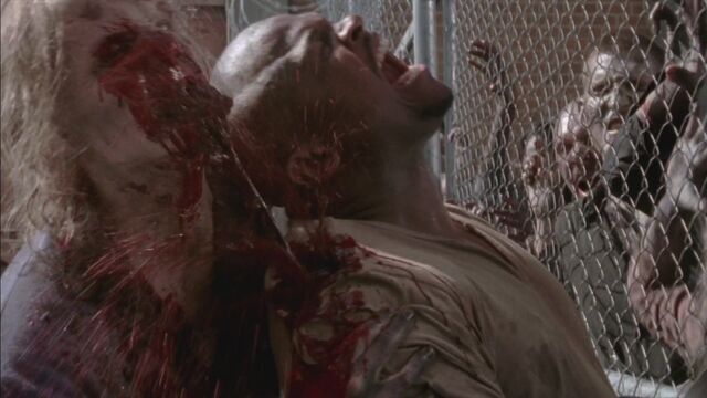File:Twd304-001357.jpg
