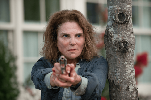 File:AMC 608 Deanna Revolver.png