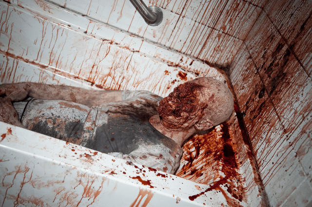 File:Twd-live-bait-post-image.png