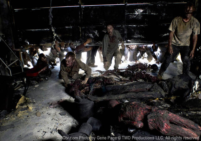File:Episode-6-walkers.jpg