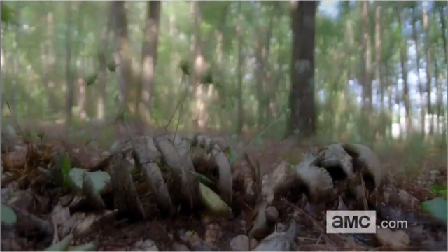 File:5x09 Mr Skeleton.png