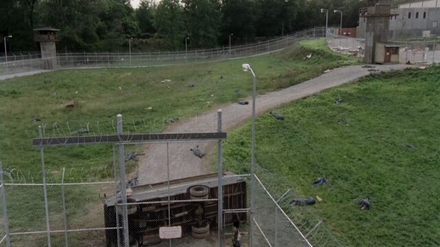File:Prison field.jpg