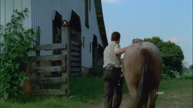 File:Horse and rick5.png