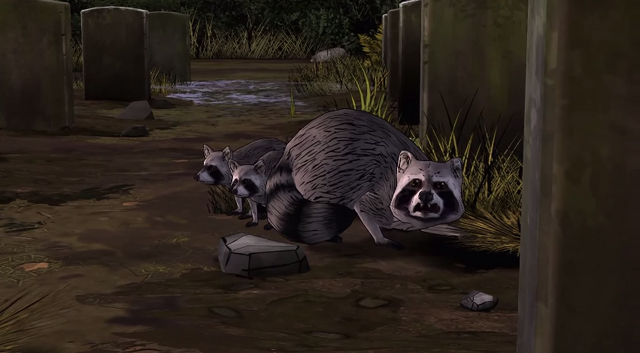 File:AmTR Raccoon Family.png