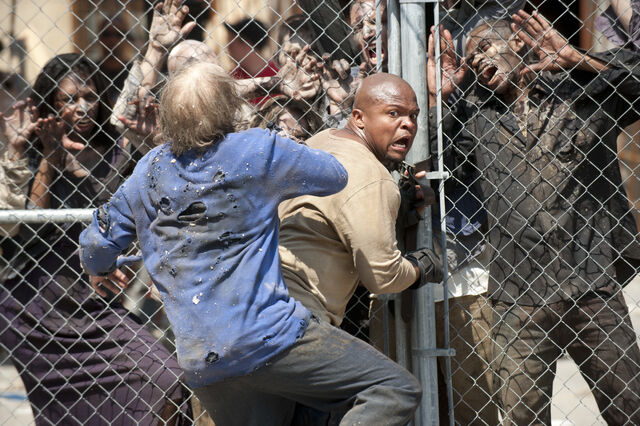 File:T-dog walker bite.jpg