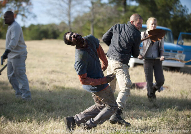 File:T-Dog, Shane, Andrea, Zombie.jpg