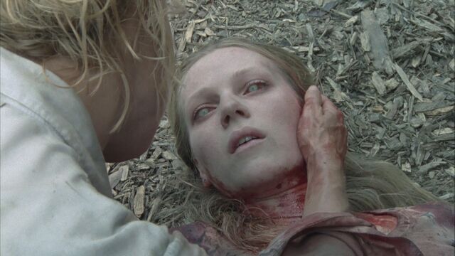 File:Twd105-000741.jpg