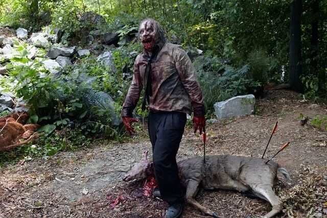 File:TITFF TWD Images 008.jpeg