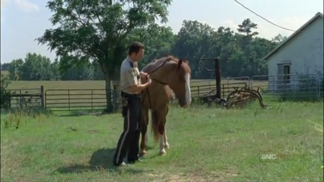 File:Horse and rick3.png