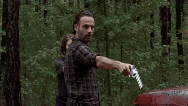 File:TWD 0815.jpg