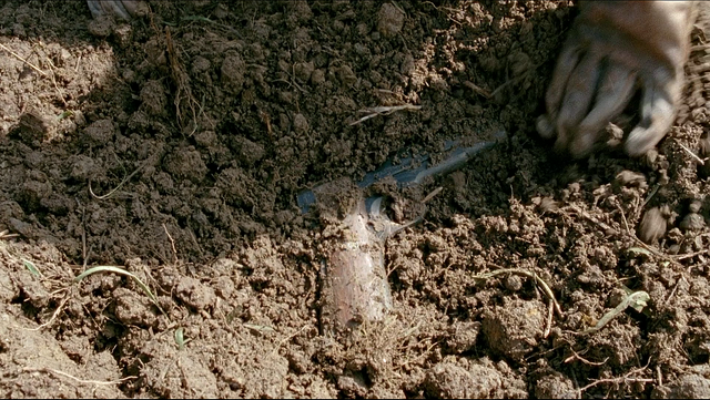 File:Arma rick.png