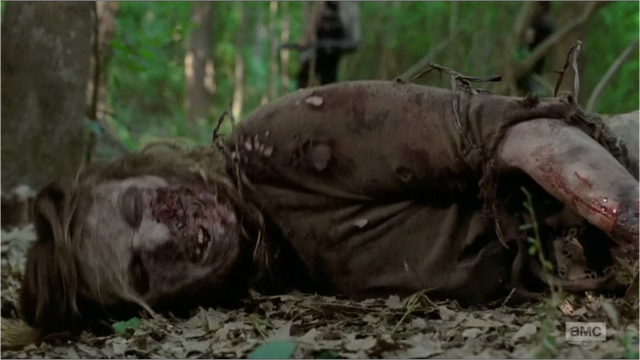 File:Michonne's Walker.png