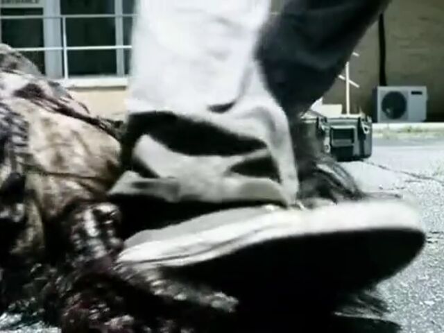 File:ST TWD Images 035.jpeg