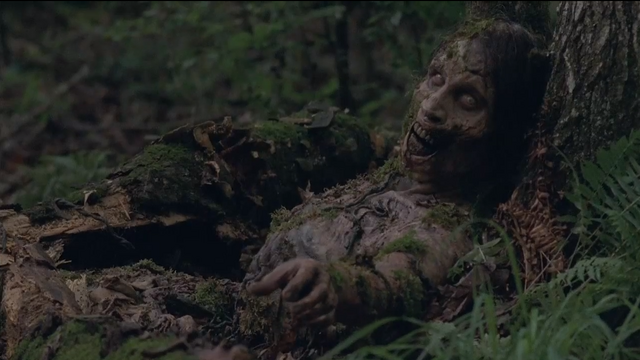 File:S4T Nature Walker 2.png