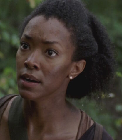 File:Sasha 308 Crop.jpeg
