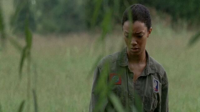 File:Twd0509-2990.jpg