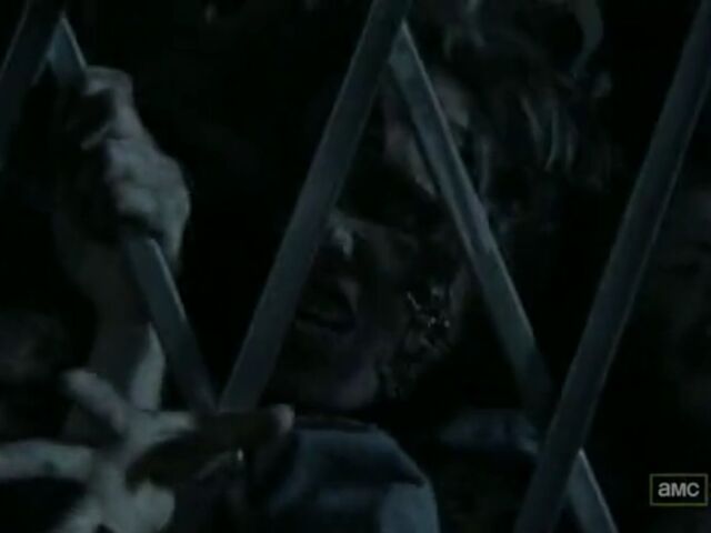 File:BL TWD Images 077.jpeg