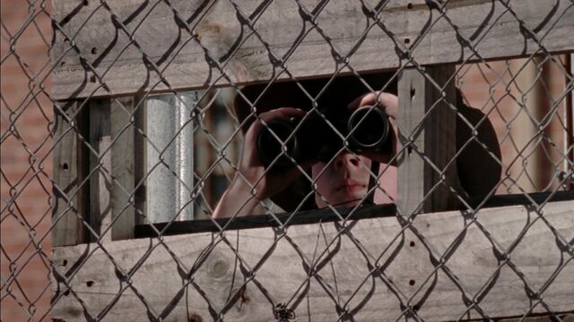 File:TWD 1018.jpg