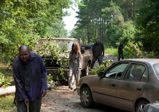 File:3A Walker 9.jpg