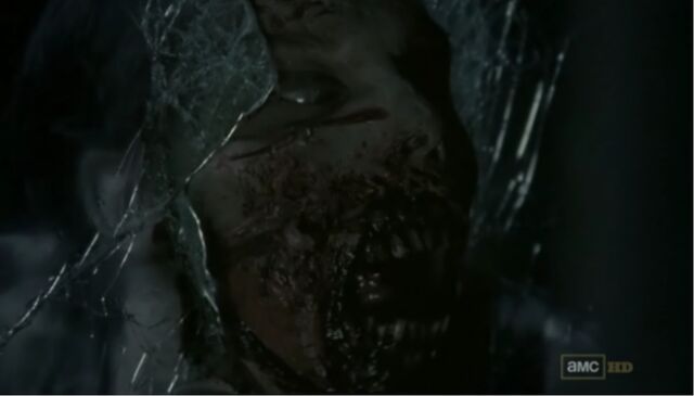 File:Car Accident walker.jpg