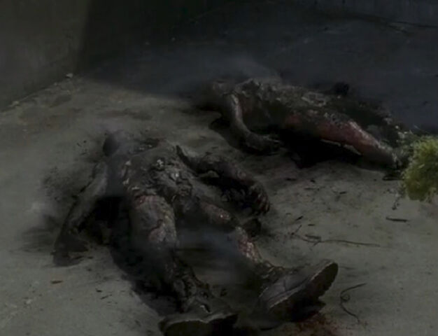 File:Karen&Daviddeath.jpg