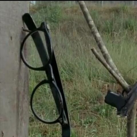 File:Patrick Eyeglasses.jpg