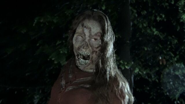 File:VA TWD Images 002.jpeg