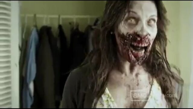 File:W1 TWD Images 037.jpeg